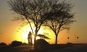 Leia mais sobre o artigo Alerta vermelho: baixa umidade do ar atinge três estados e o DF