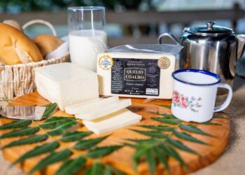 Após prêmios internacionais, marca baiana de laticínios investe em ampliação da produção