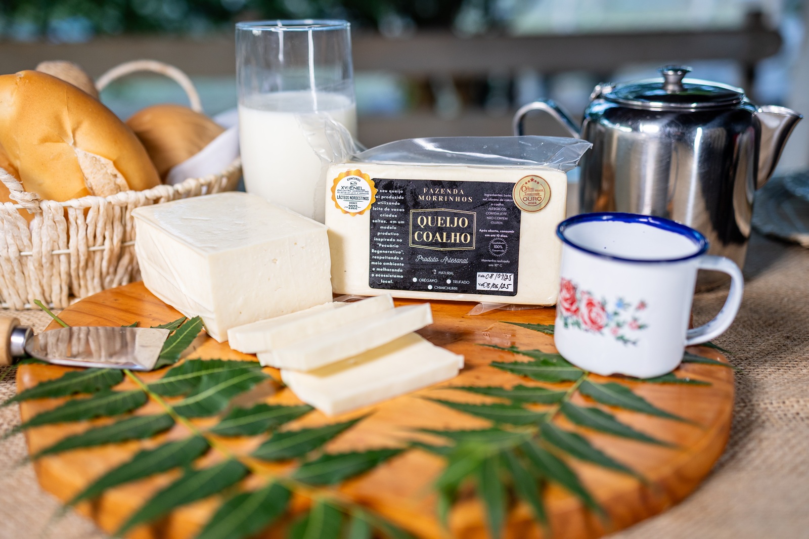 No momento, você está visualizando Após prêmios internacionais, marca baiana de laticínios investe em ampliação da produção