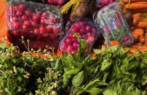 Leia mais sobre o artigo Salvador sedia pela primeira vez o Encontro de Pesquisas em Gastronomias do Brasil
