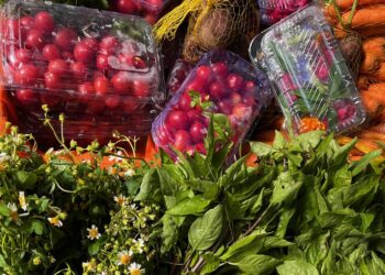 Salvador sedia pela primeira vez o Encontro de Pesquisas em Gastronomias do Brasil